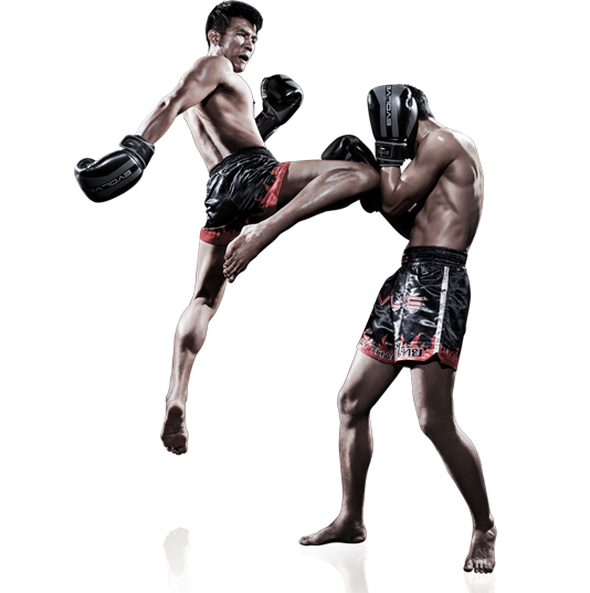 muay thai flying knee knockout